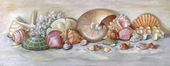 sea shells2.jpg
