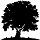 tree logo.jpg